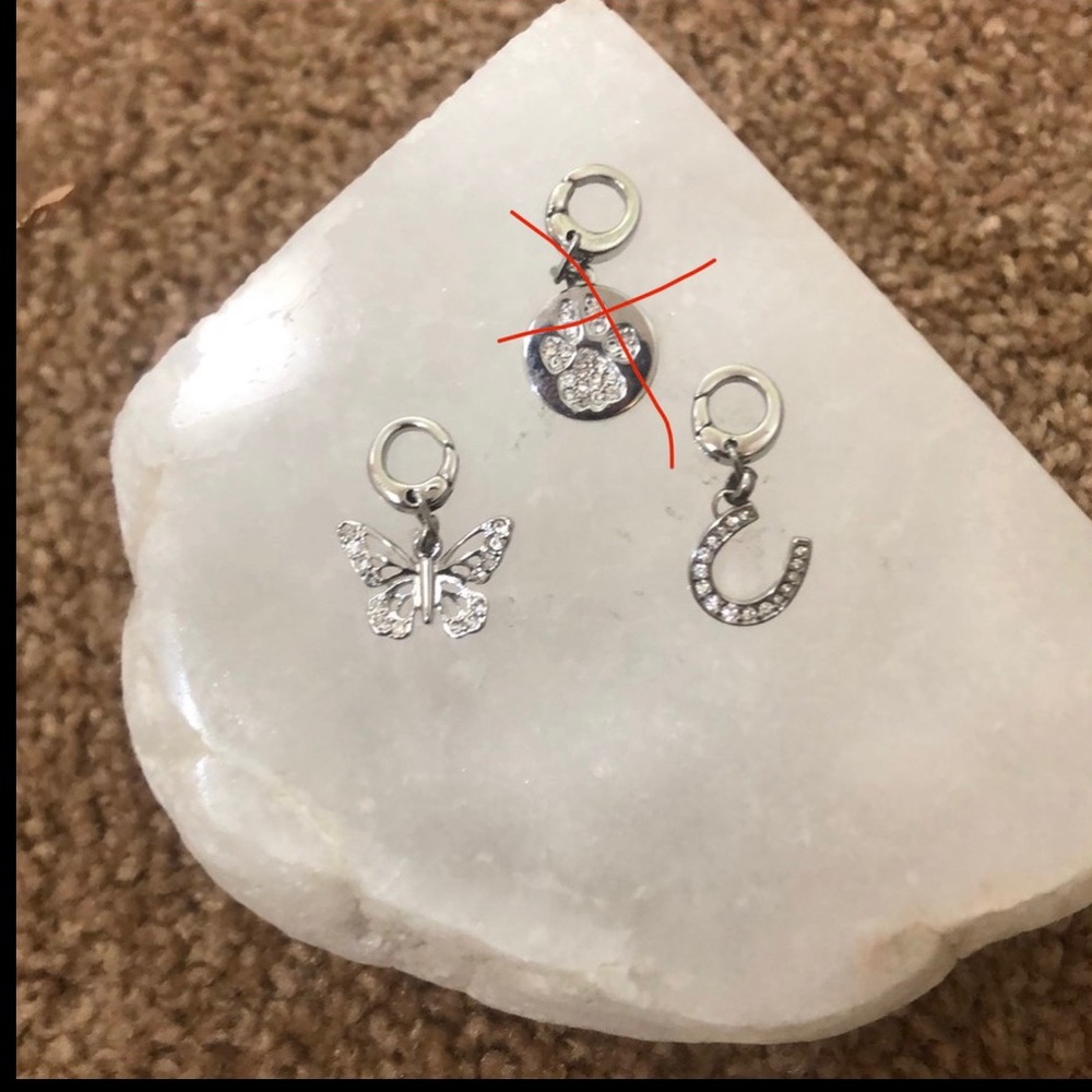 Fossil Charms